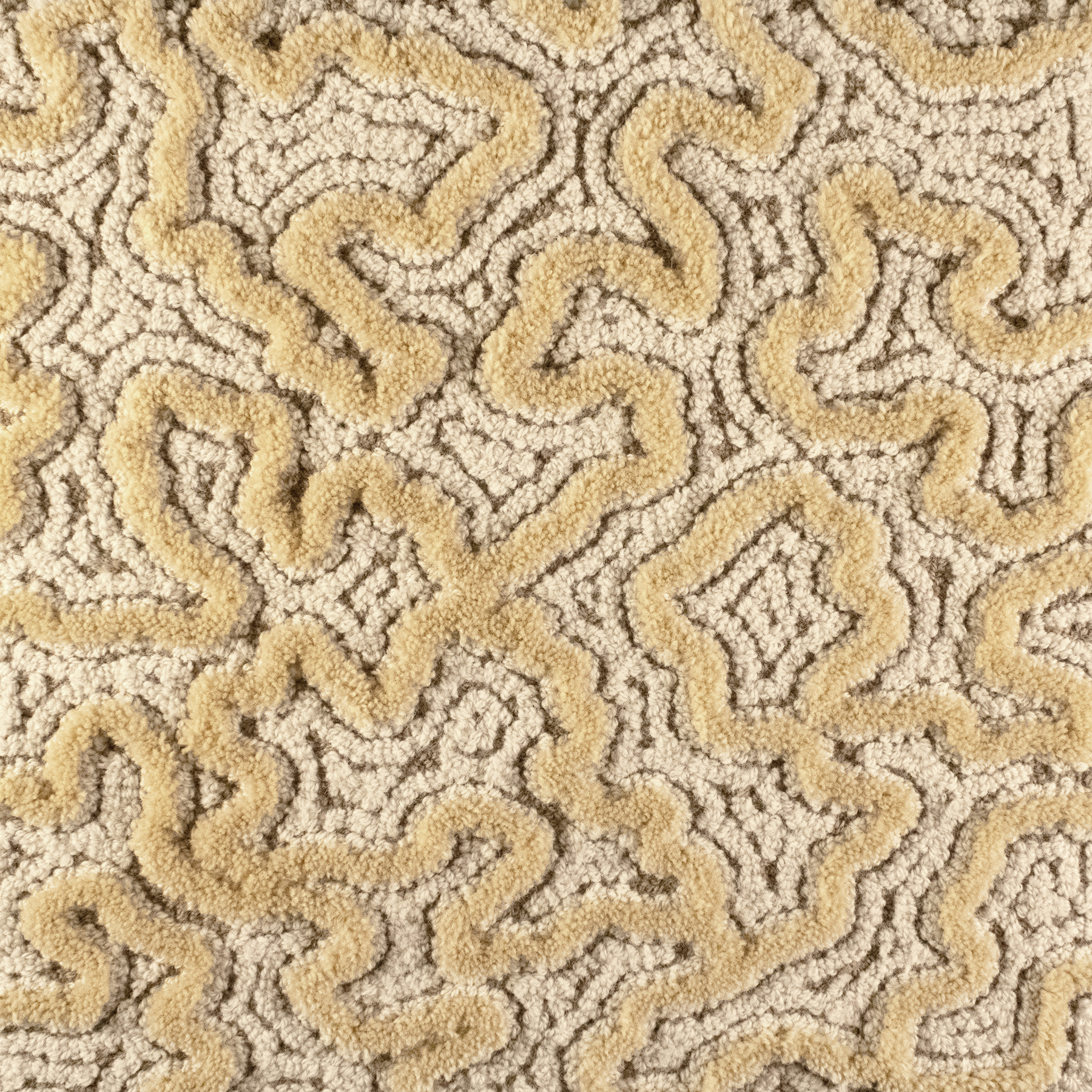 Santar Sample | 18" x 18"